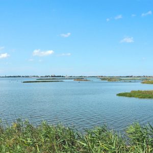 01-Vacanze-nella-natura-Emilia-Romagna
