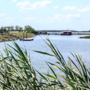 06_Comacchio_Saline