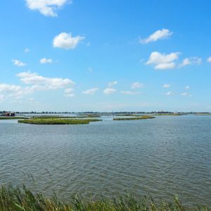 07_Valli_di_Comacchio