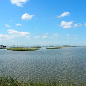 07_Valli_di_Comacchio