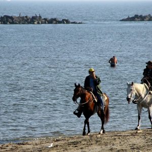 10-Reiten-Lido-di-Comacchio