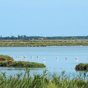 10_Comacchio_Saline