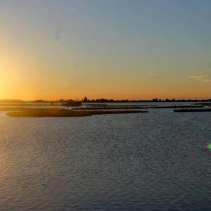10_Parco_Delta_Po