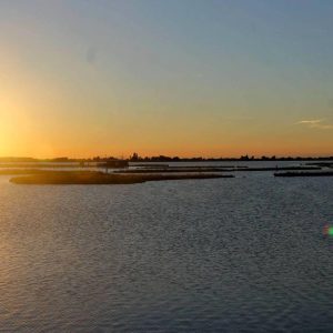 10_Parco_Delta_Po